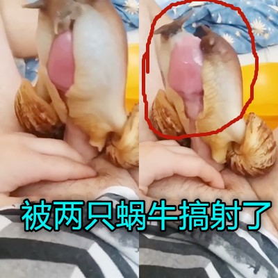 自拍欧美三级中文,成人免费看黄短视频app下载