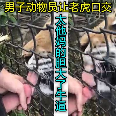 日本va在线视频播放,69视频在线观看视频不卡